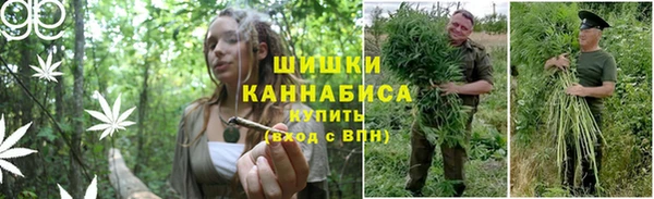 героин Белокуриха