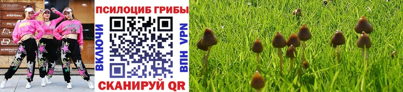Псилоцибиновые грибы ЛСД Хадыженск